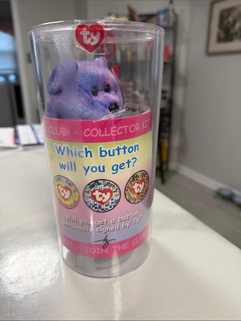 Ty Purple and Blue Plush Bear Collector Kit